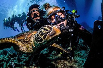 Aussie Blokes Travel - Sunshine Coast Guide 1
