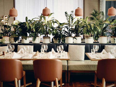 Amora Hotel Jamison Sydney - Sunshine Coast Guide 6