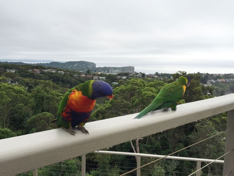 Avalon Horizons - Sunshine Coast Guide 8