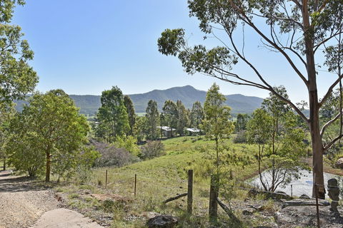 Corymbia - Sunshine Coast Guide 4