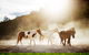 Emirates One&Only Wolgan Valley - thumb 1