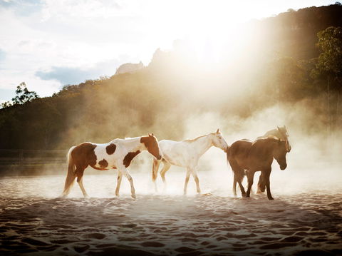Emirates One&Only Wolgan Valley - Sunshine Coast Guide 1