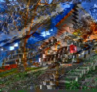 Golden Eagle 2 - Sunshine Coast Guide