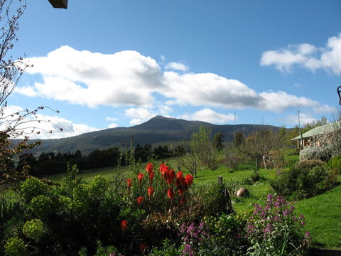 Plovers Ridge Country Retreat - Sunshine Coast Guide 0