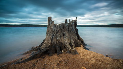 Potters Gorge - Sunshine Coast Guide 4