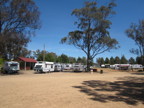 Ariah Park Camping Ground - Sunshine Coast Guide 2