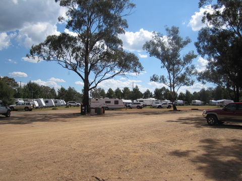 Ariah Park Camping Ground - Sunshine Coast Guide 4