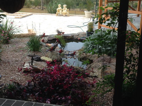 BellbirdHill Bed And Breakfast - Sunshine Coast Guide 4
