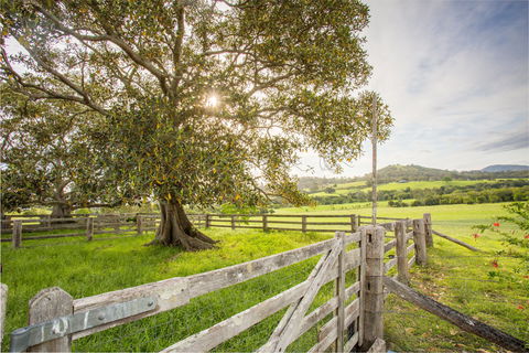 Bo-Warra Farmstay - Sunshine Coast Guide 2