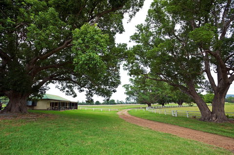 Copmanhurst Recreation Reserve - Sunshine Coast Guide 0