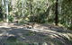 Gap Creek Campground - thumb 1