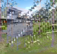 Gold Coast Tree Houses - Sunshine Coast Guide