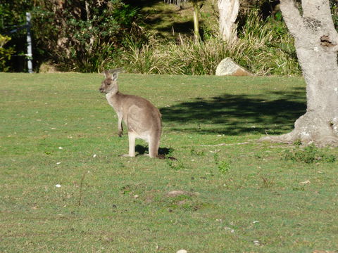 Little Bay Cottage - Sunshine Coast Guide 2