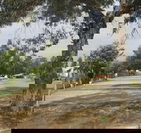 Country Acres Caravan Park - Sunshine Coast Guide