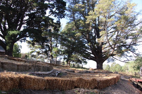 Longwood Retreat - Sunshine Coast Guide 0