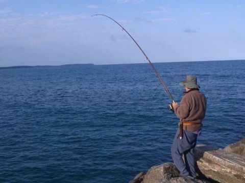 North Head Camping Area - Sunshine Coast Guide 0