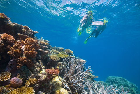 NRMA Cairns Holiday Park - Sunshine Coast Guide 0