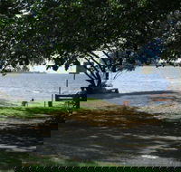 Pialba Beachfront Tourist Park - Sunshine Coast Guide
