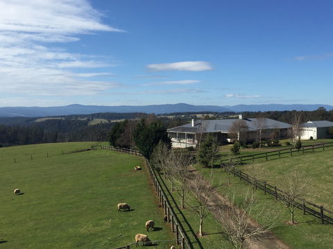 Cheeky Fox Retreat - Sunshine Coast Guide 0