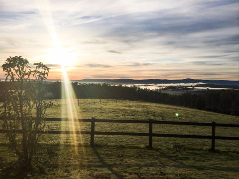 Cheeky Fox Retreat - Sunshine Coast Guide 1