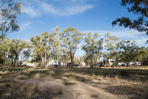 Collarenebri Primitive Campground - Sunshine Coast Guide 2