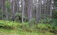 Daisy Plains Huts - thumb 1
