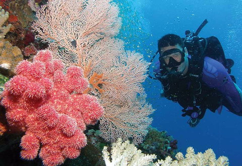 NRMA Palm Cove Holiday Park - Sunshine Coast Guide 2