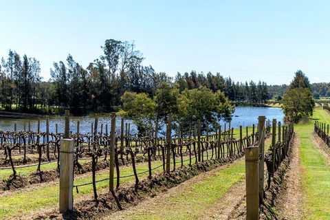 The Cottage Hunter Valley - Sunshine Coast Guide 0