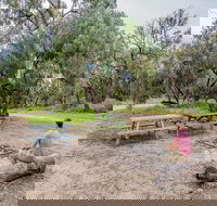 Willandra group campground - Sunshine Coast Guide