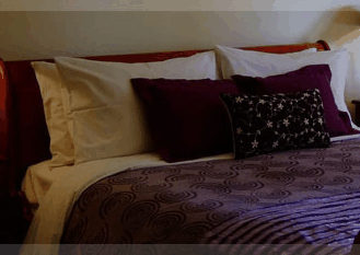 Erravilla Country Estate - Sunshine Coast Guide 1