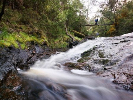 Karri Valley Resort - Sunshine Coast Guide 2