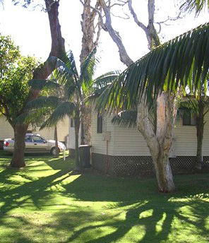 Arrawarra Beach Holiday Park - Sunshine Coast Guide 1
