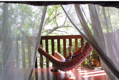 Bellingen YHA Hostel - Sunshine Coast Guide 1