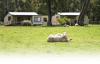 Cambray Cottages - Sunshine Coast Guide 1