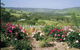 Pecan Hill - thumb 1