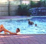 Shark Bay Caravan Park - Sunshine Coast Guide