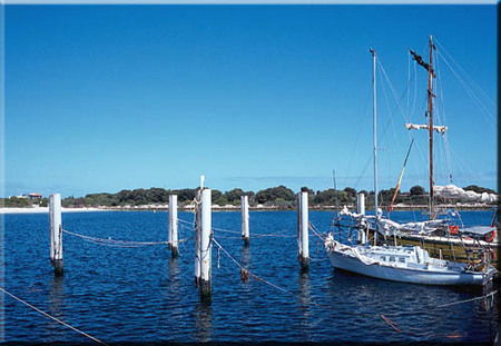 Jurien Bay Tourist Park - Sunshine Coast Guide 0