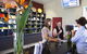 Adina Vineyard & Olive Grove - thumb 2
