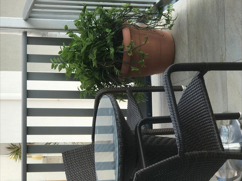 Airlie Court Units - Sunshine Coast Guide 2
