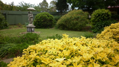 Ayers Burra - Sunshine Coast Guide 2