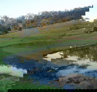 Barkeldine Farm Country Retreat - Sunshine Coast Guide