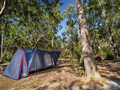 Boomeri Campground - Sunshine Coast Guide 1