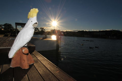 Cockatoo House - Sunshine Coast Guide 2