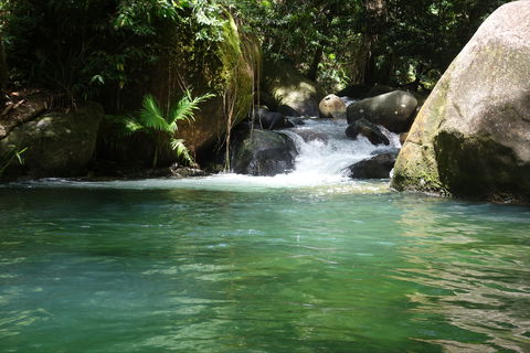 Daintree Secrets Rainforest Sanctuary - Sunshine Coast Guide 0