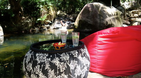 Daintree Secrets Rainforest Sanctuary - Sunshine Coast Guide 1