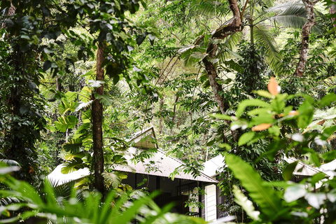 Daintree Ecolodge - Sunshine Coast Guide 0
