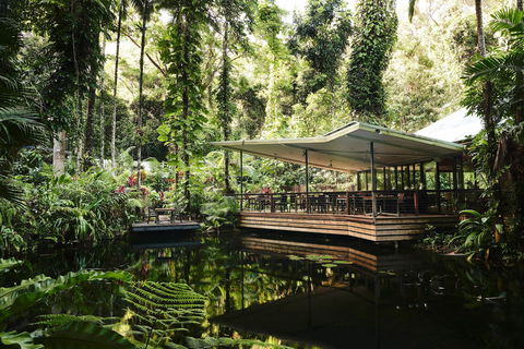 Daintree Ecolodge - Sunshine Coast Guide 1