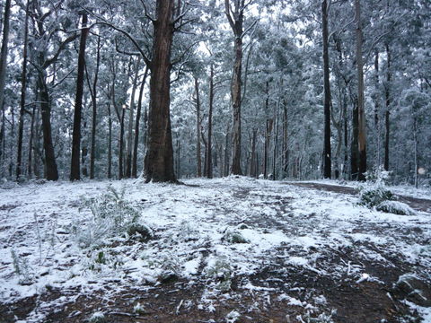 High Peaks Cottages - Sunshine Coast Guide 0