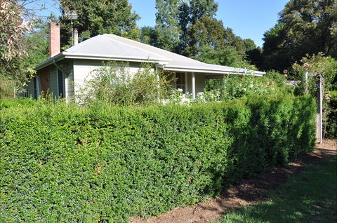 Honeysuckle Cottage - Sunshine Coast Guide 1