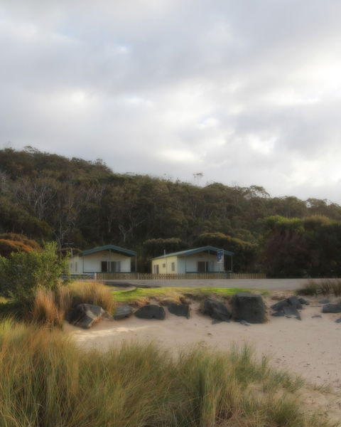 Kennett River Holiday Park - Sunshine Coast Guide 0